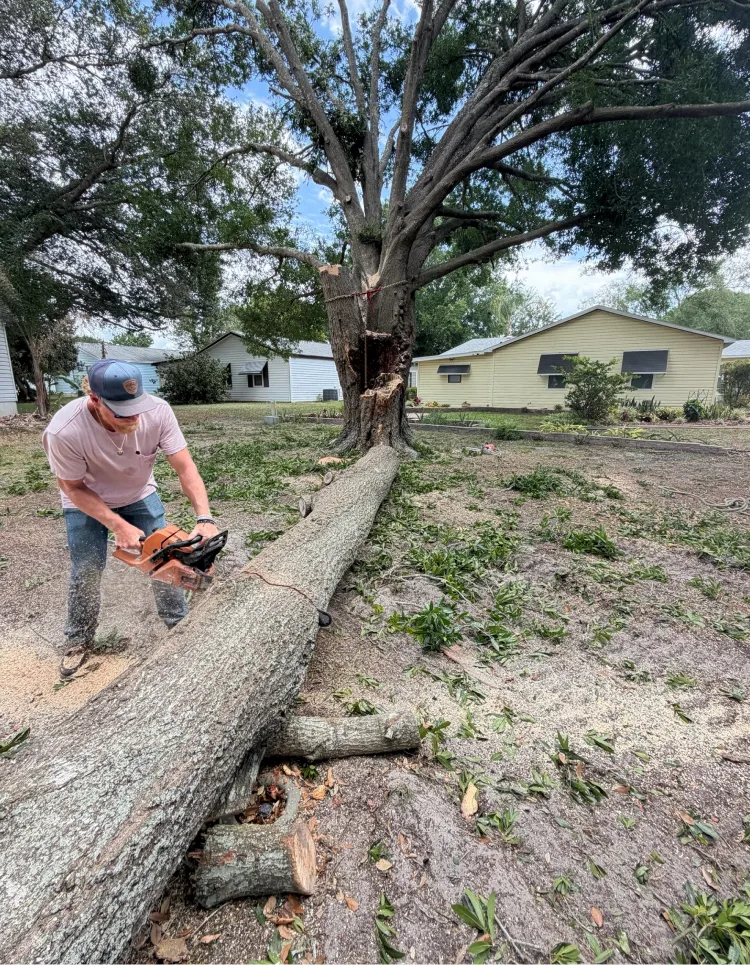 ParishTreeService Communication Ocklawaha, FL