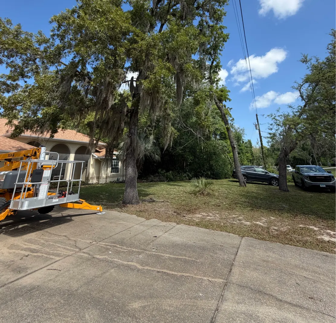 ParishTreeService Gallery4 Ocklawaha, FL