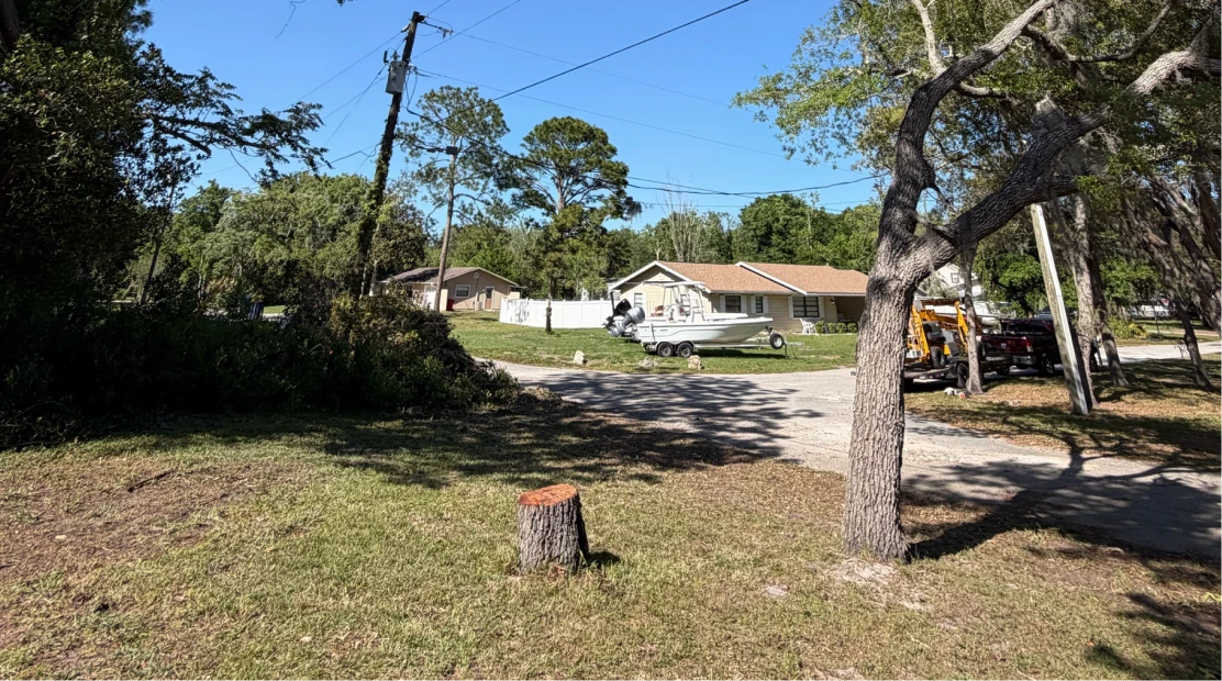 ParishTreeService StumpGrindingServices Ocklawaha, FL